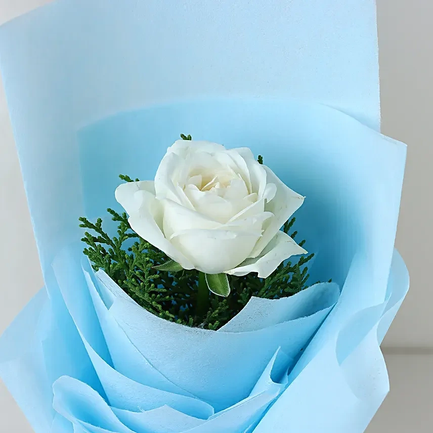 elegantwhiterosesentiments2