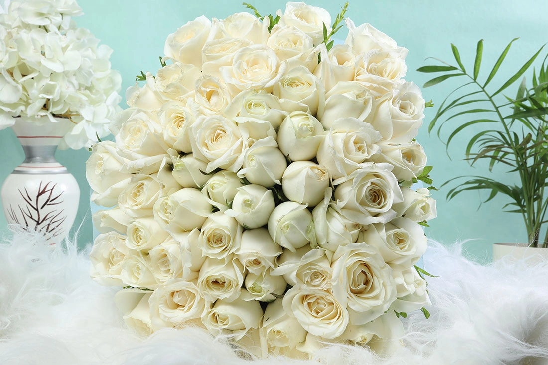 Pearl White  rose Flowers bunch 