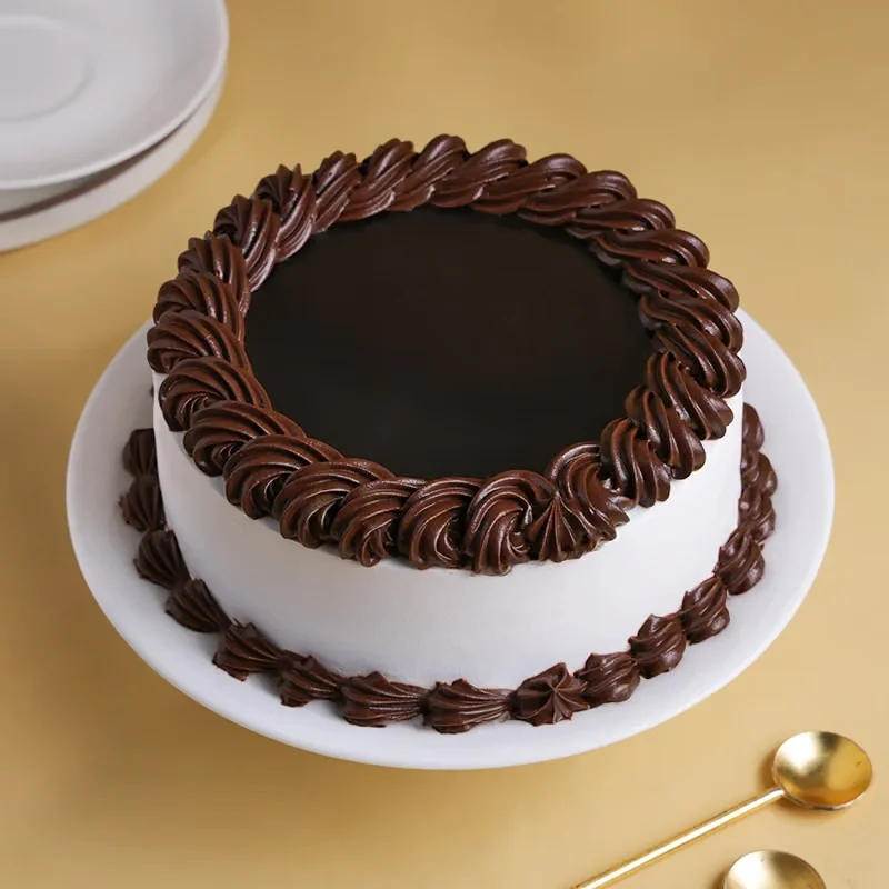 cocoarichchocolatecake9725020caA