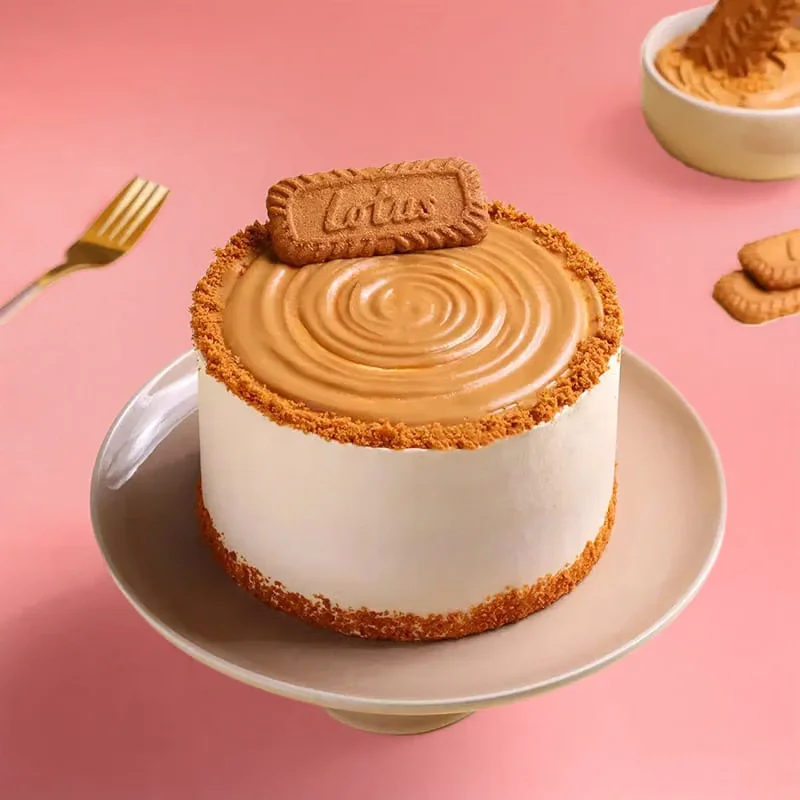 Choco Bliss Biscoff Cake Delice