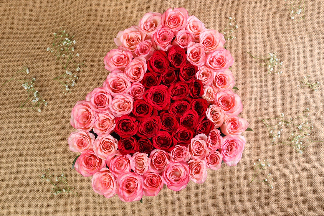 Heart shaped rose Floweres collection 