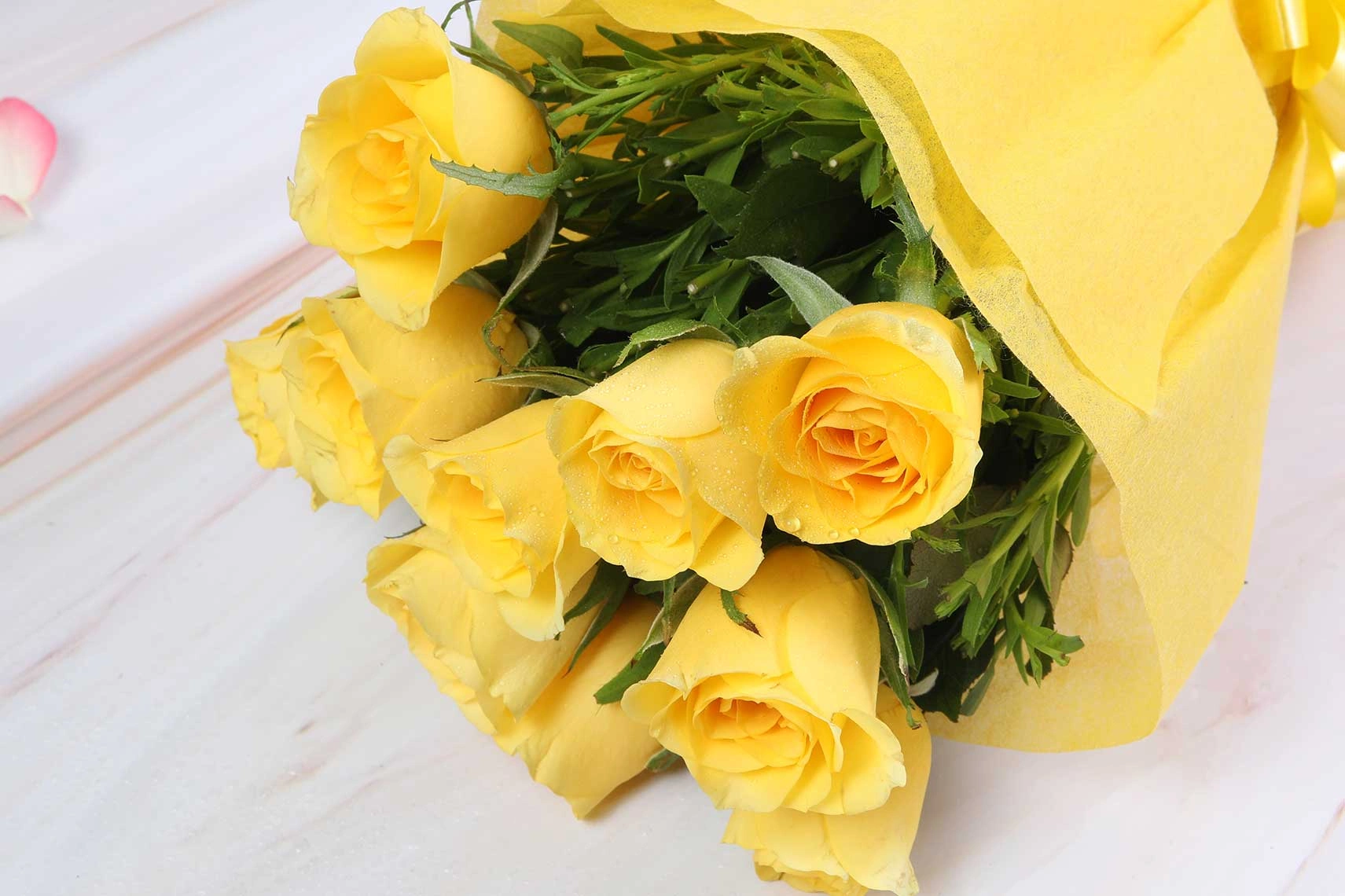 Yellow warming roses Flowers