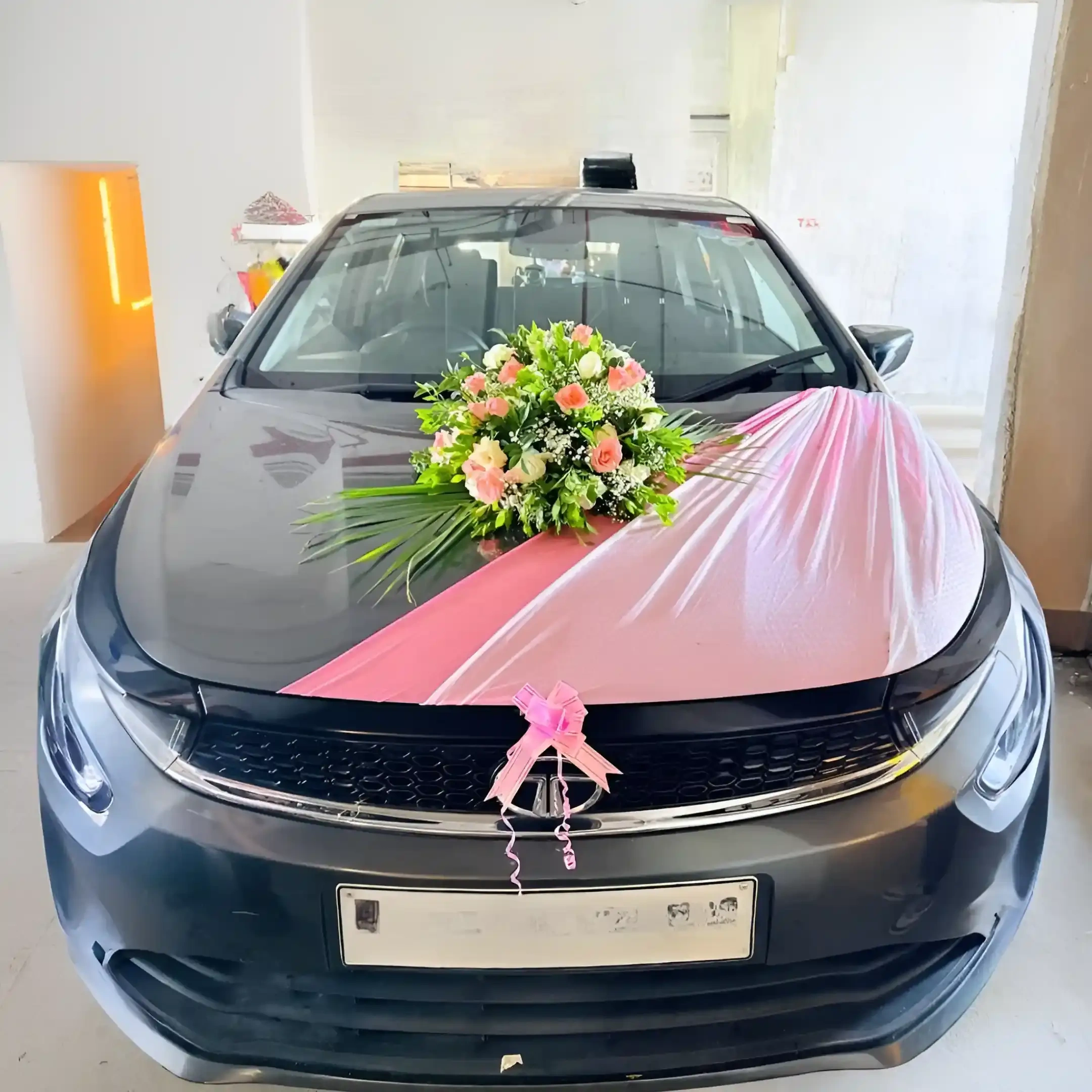 Tata Serene Car Stylish Decoration 