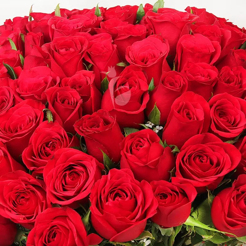BloomingLoveC
