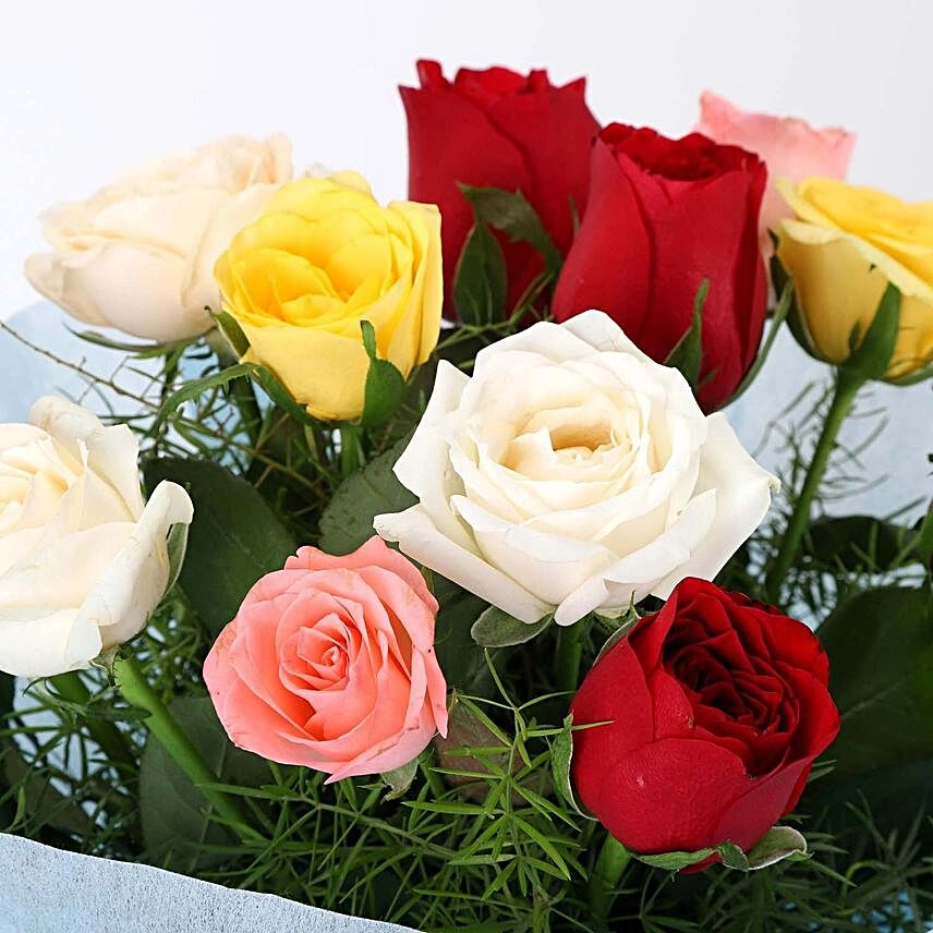 12MixedRosesEmotions2