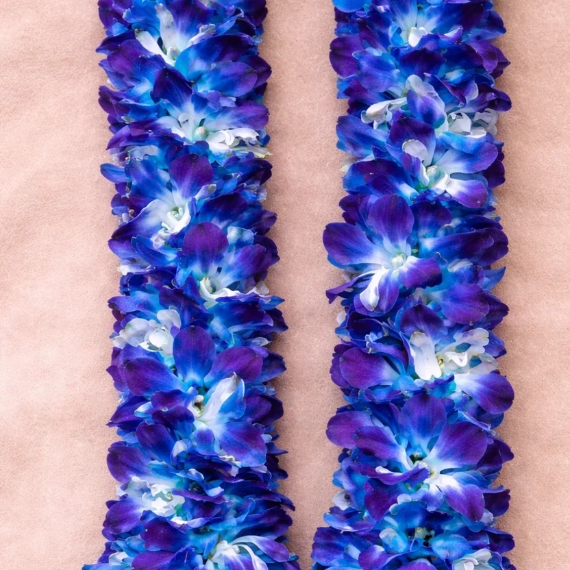 Fresh Blue Orchid Wedding Garland Varmala