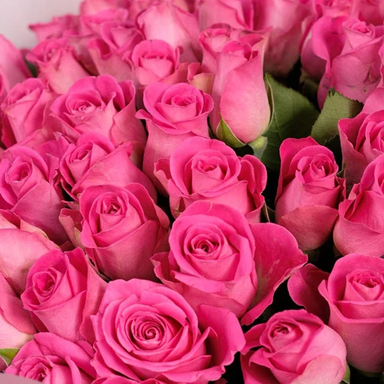 50ShadesofPink2